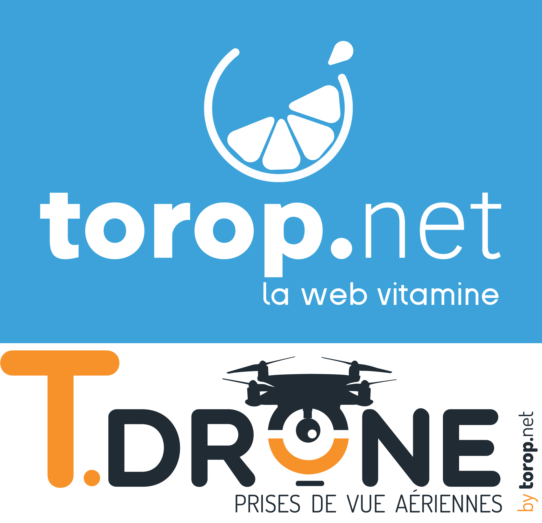 torop.net-T.Drone